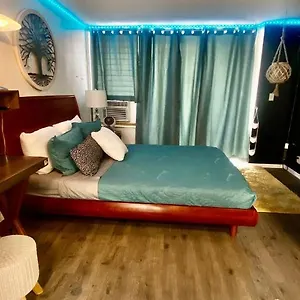 https://lewers-studio-suite.hotelsinhawaii.org
